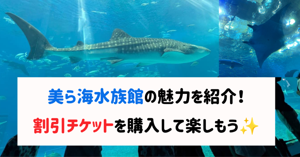 美ら海水族館の魅力。割引チケットを購入して楽しもう。