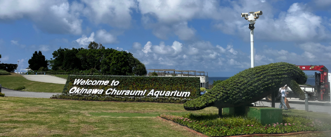 美ら海水族館モニュメント